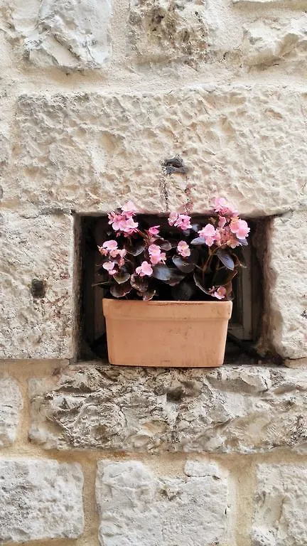 Rooms Livia Trogir Guest house